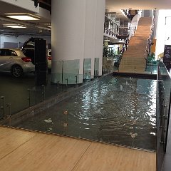 IMG_2810