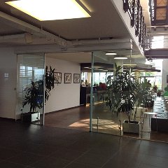 IMG_2811