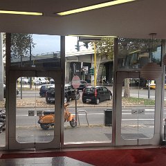 IMG_2960
